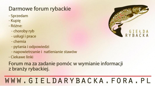 Forum Gieda Rybacka Strona Gwna
