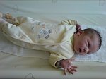 45fd5815af4eead3m.jpg