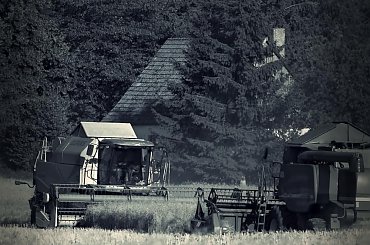 Lipcowy taniec gigantów #JohnDeere #WojciechWrzesień #fotmart #fotosik #pole #rzepak #lipiec #kombajn #ifa #WMoimObiektywie #taniec #zmagania #laas