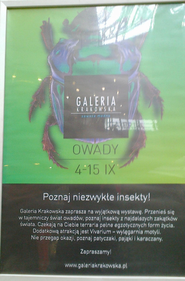 Wystawa owadów w Galerii Krakowskiej w Krakowie 2013 09 13 #Kraków #Małopolskie