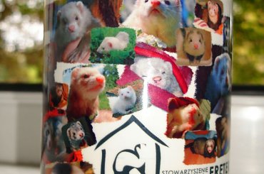 Mocno fretkowy kubeczek, jeśli kupisz - pomożesz w leczeniu Pimpusia :) #aukcja #fretka #kubek #Pimpuś #SPF