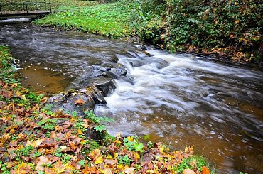 Sajna,Reszel #lasy #natura #rzeki