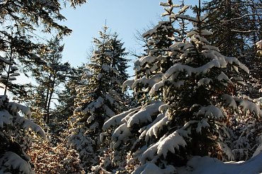 #góreczki #górki #Góry #zima #Alpy