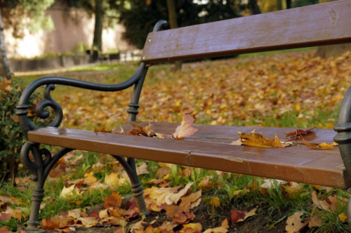 Jesienna ławka