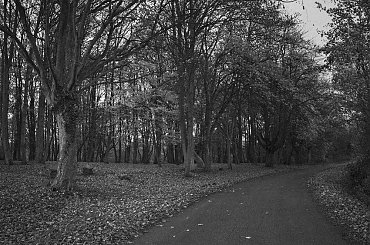 OPUSZCZONE CMENTARZE ZACHODNIEJ POLSKI #fotmart #WMoimObiektywie #wojtekwrzesien #święto #listopad #fotografia #zdjęcie #groby #cmentarzyk #Bodenhagen #Bagicz #FestungKolberg #kolberg #kołobrzeg #samotność #smutek #droga #krajobraz