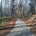 Mój pobyt w Iwoniczu Zdroju 2013 10 20 do 2013 11 13 #IwoniczZdrój