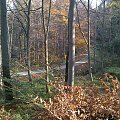 Mój pobyt w Iwoniczu Zdroju 2013 10 20 do 2013 11 13 #IwoniczZdrój