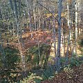 Mój pobyt w Iwoniczu Zdroju 2013 10 20 do 2013 11 13 #IwoniczZdrój