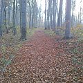 Mój pobyt w Iwoniczu Zdroju 2013 10 20 do 2013 11 13 #IwoniczZdrój
