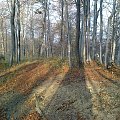 Mój pobyt w Iwoniczu Zdroju 2013 10 20 do 2013 11 13 #IwoniczZdrój