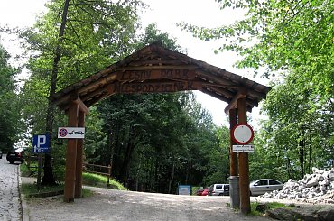 W Ustroniu na zboczach Równicy #Góry #BeskidŚląski #Ustroń #Ptaki #Równica