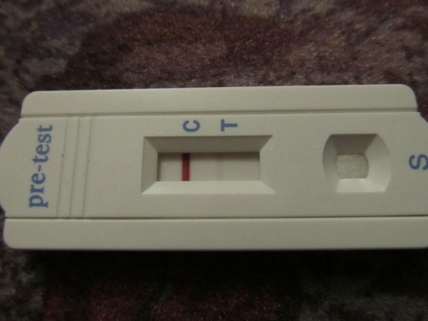29.12.2013 pre-test