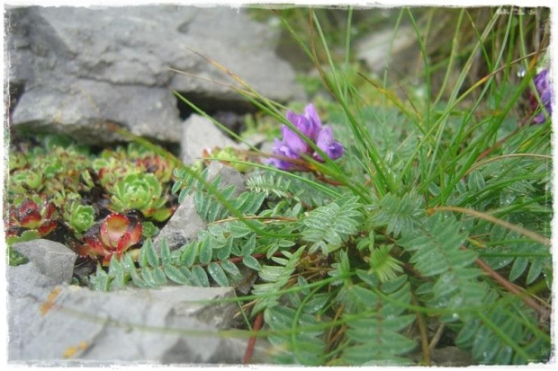 Tatry 2013