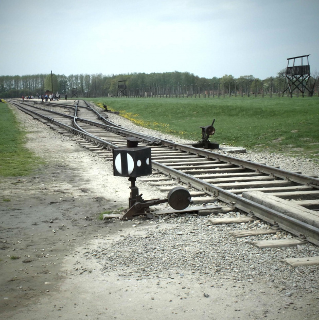 Tory prowadzące do nikąd.. #AuschwitzBirkenau #Oświęcim #plener #tory