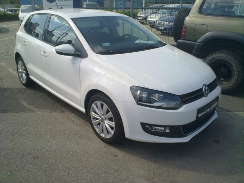 polo