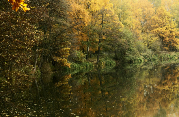 jesienny spacer #jesień #jezioro #las #pejzaże #przyroda #widoki