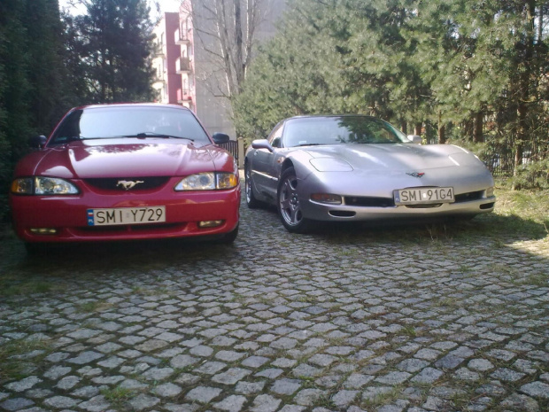 Corvette moja miłość