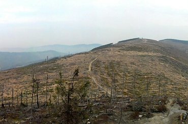 #beskidy #BiałyKrzyż #MalinowskaSkała #Skrzyczne #Żywiec