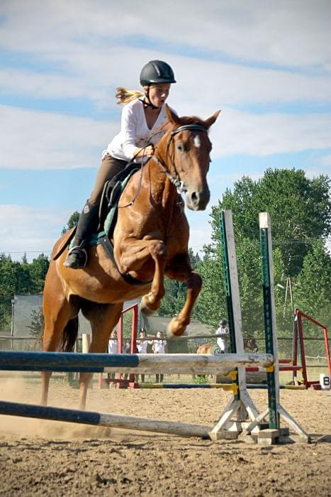 pokazy jeździectwa szkółki konnej -2013-