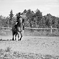 pokazy jeździectwa szkółki konnej -2013-
