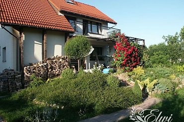 ogród w kolejnych latach #rabata #Ogród2007 #Rabaty2007 #Skarpa2007